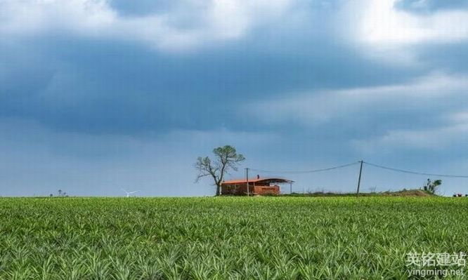 瀏陽手機網站建設價格影響因素有哪些？（瀏陽手機網站建設價格的5個主要因素）